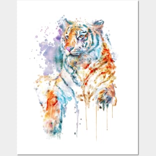 Resting Tiger Posters and Art